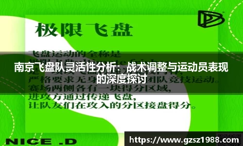 南京飞盘队灵活性分析：战术调整与运动员表现的深度探讨